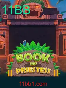 Explorando o Fascínio do Novo Jogo de Tabuleiro BookOfPriestess